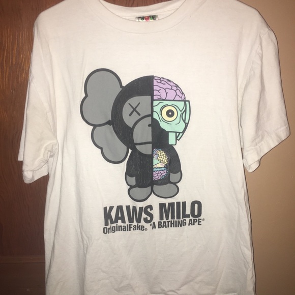 bape x kaws shirt